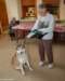 photo number 11