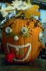 pumpkin gif