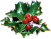 holly gif