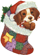 puppy in Christmas stocking