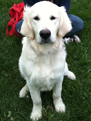 BALU