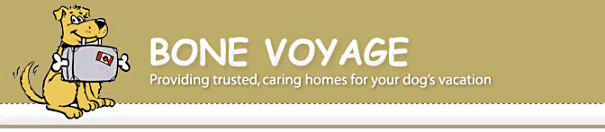 BONE VOYAGE LOGO