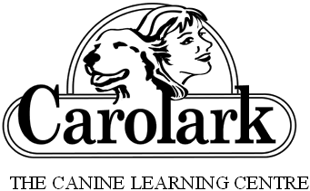 Carolark