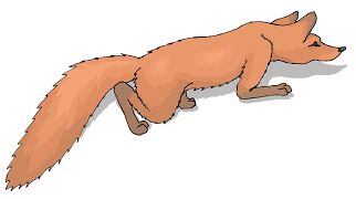 red fox crawling