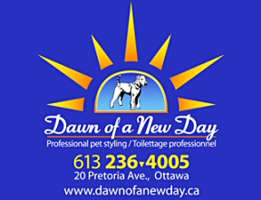DAWN OF A NEW DAY LOGO