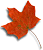 autumn leaf gif
