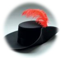 image:  feather in cap
