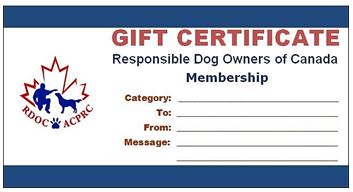 image:  gift certificate