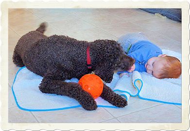 image: dog and baby