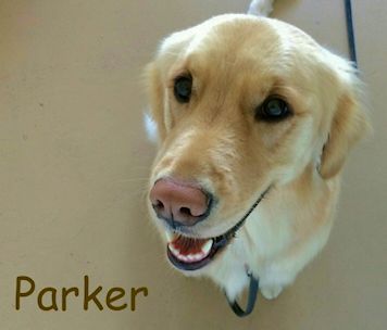 Parker