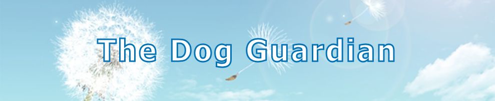 header - The Dog Guardian