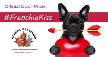 image: Frenchie Kiss