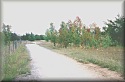 Path beside lake